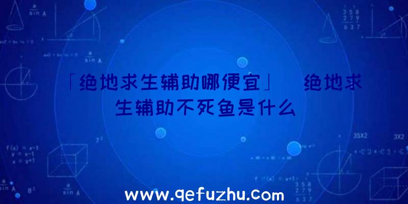 「绝地求生辅助哪便宜」|绝地求生辅助不死鱼是什么